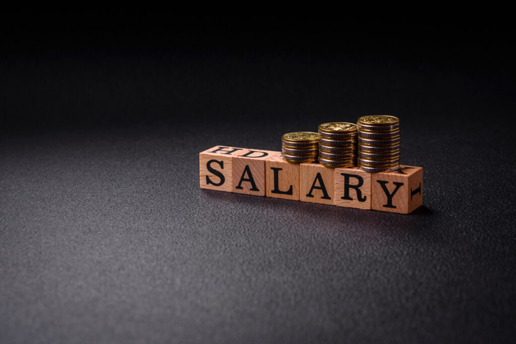 The inscription Salary made of wooden cubes on a plain backgroun