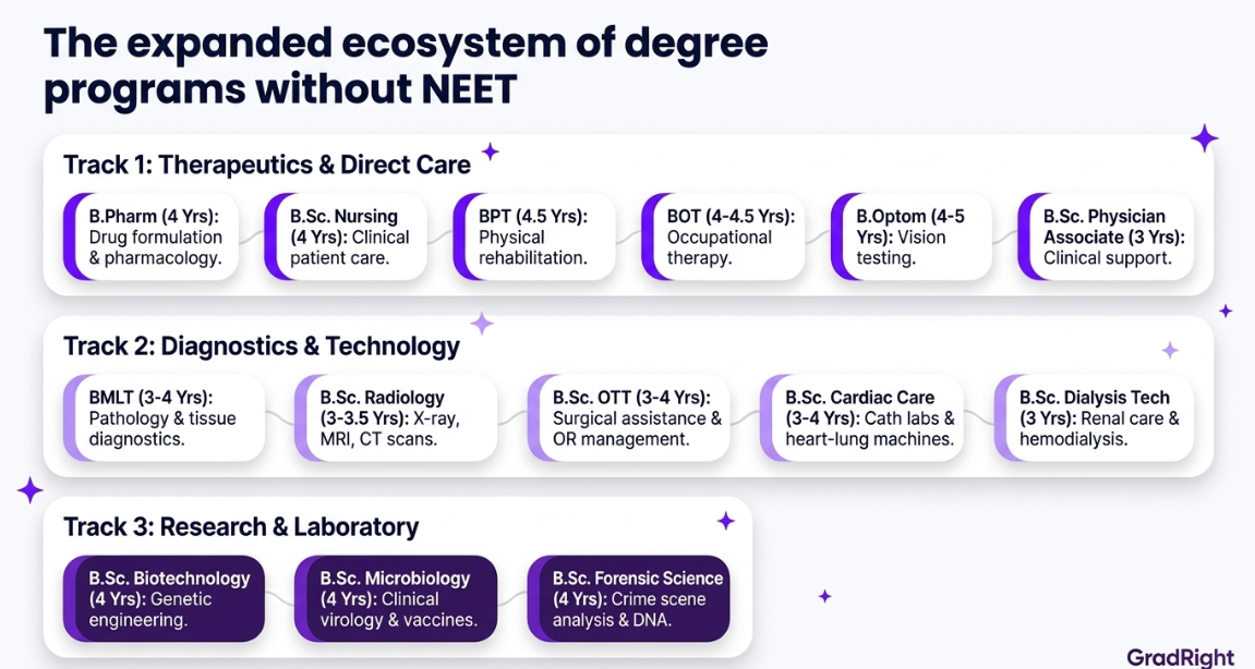 Image illustrating the expanded ecosystem of degree programs without NEET.