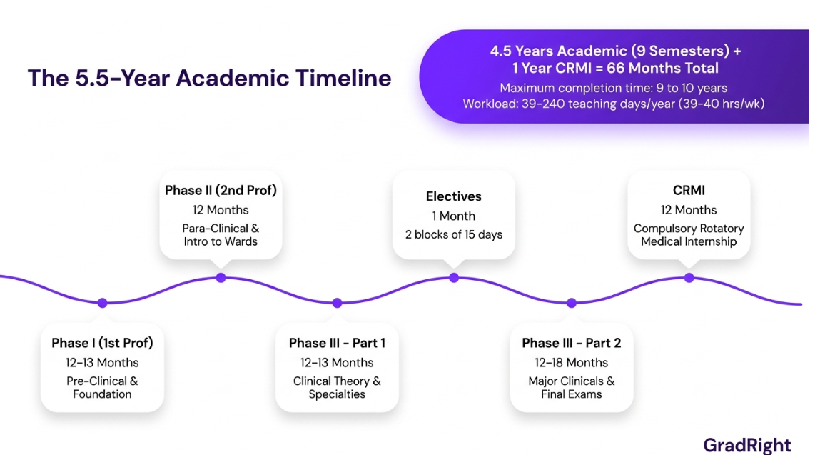 Graphic titled The 5.5 -Year academic timeline