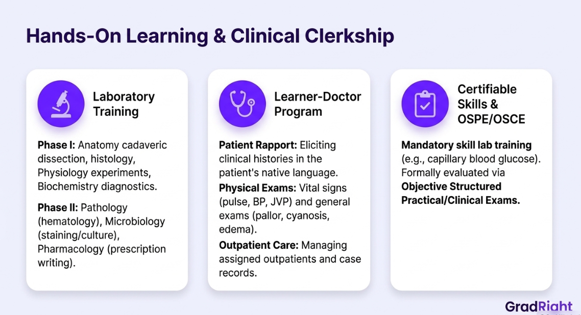 Image depicting hands-on learning & clinical clerkship.